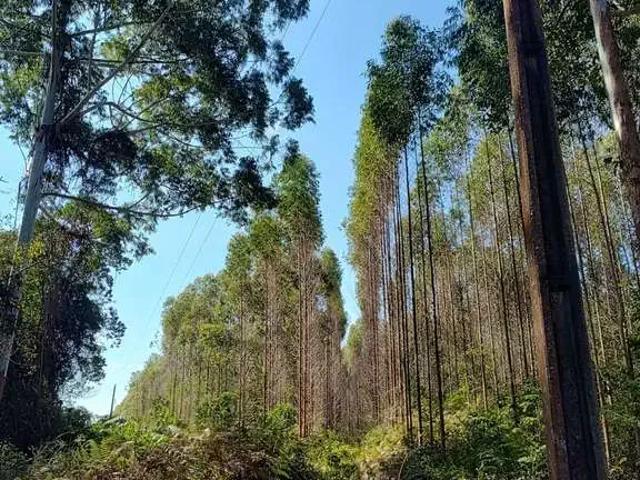 Terreno venda em Região Geográfica Imediata de Afonso Cláudio - Venda Nova do Imigrante - Santa Maria de Jetibá, Santa Teresa