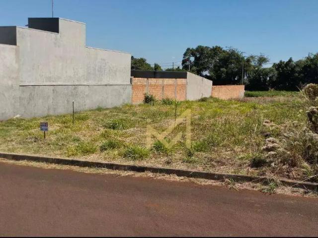 Terreno venda em Região Geográfica Imediata de Cascavel, Santa Tereza do Oeste