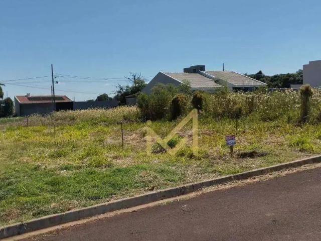 Terreno venda em Região Geográfica Imediata de Cascavel, Santa Tereza do Oeste