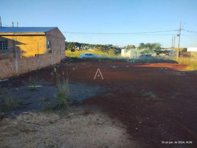 Terreno venda em Região Geográfica Imediata de Cascavel, Santa Tereza do Oeste