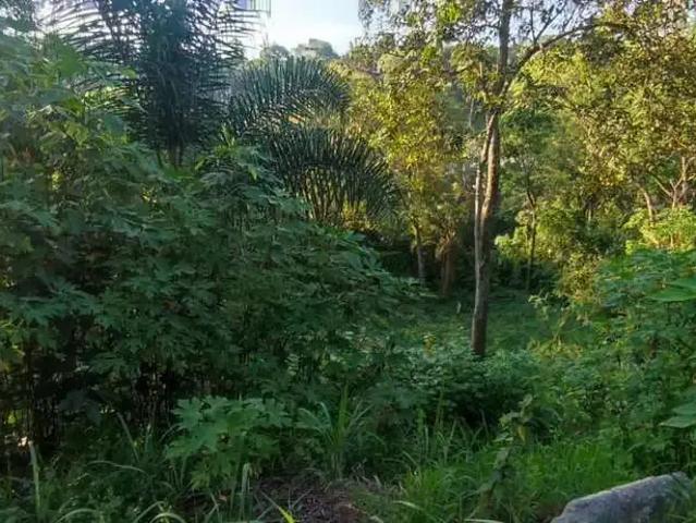 Terreno venda em Santana de Parnaíba, Região Geográfica Intermediária de São Paulo
