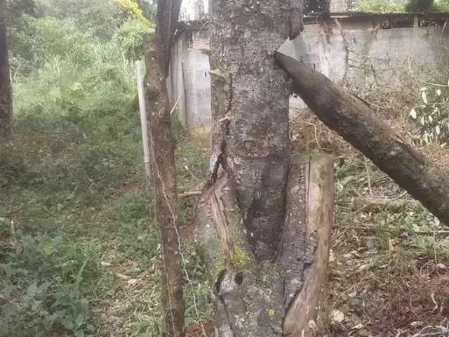 Terreno venda em Região Imediata de São Paulo, Região Metropolitana de São Paulo