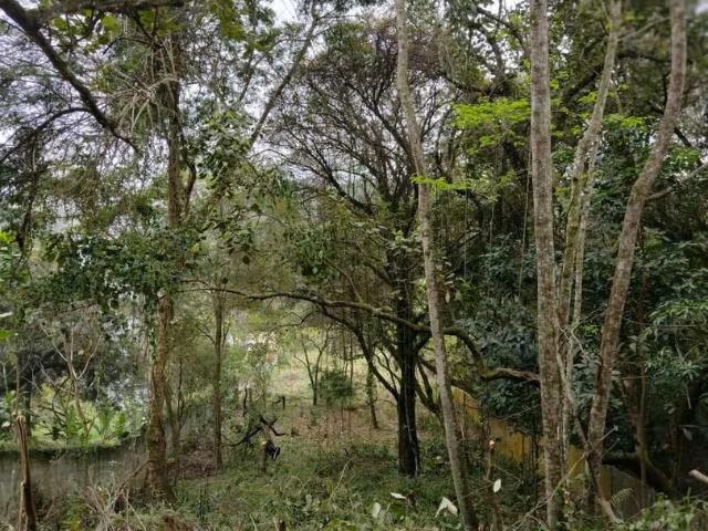 Terreno venda em Chácara São Luiz Gleba 2, Santana de Parnaíba