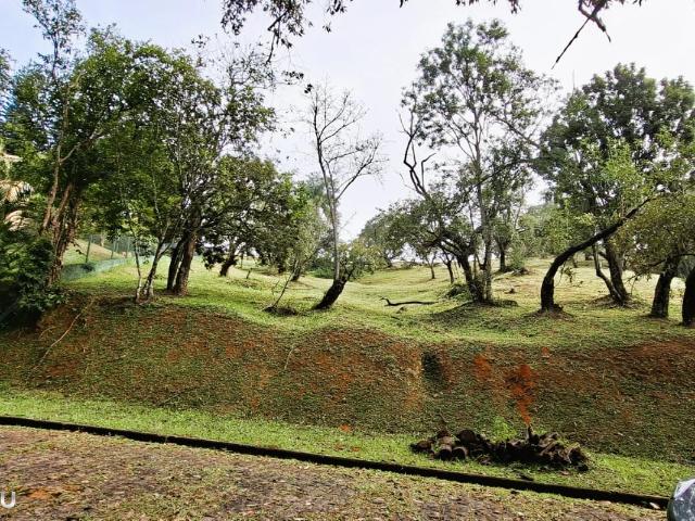 Terreno venda em Condomínio Fazenda Voturuna, Santana de Parnaíba