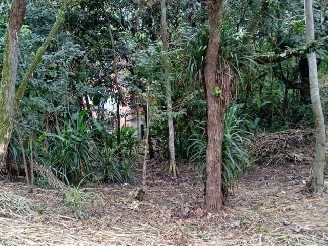 Terreno venda em Mirante Parnaíba, Santana de Parnaíba