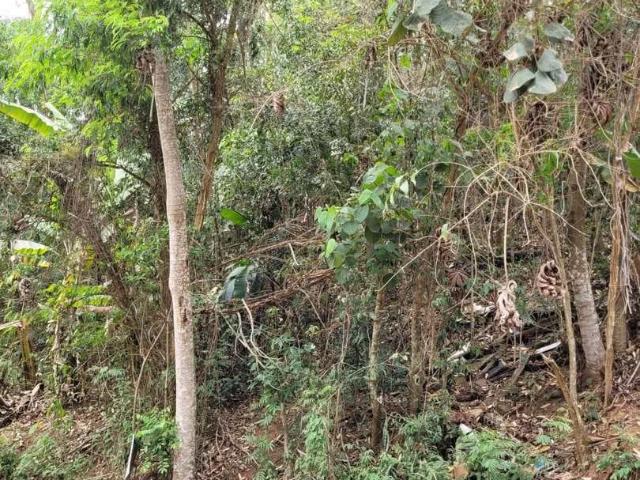 Terreno venda em Parque Sinai, Santana de Parnaíba