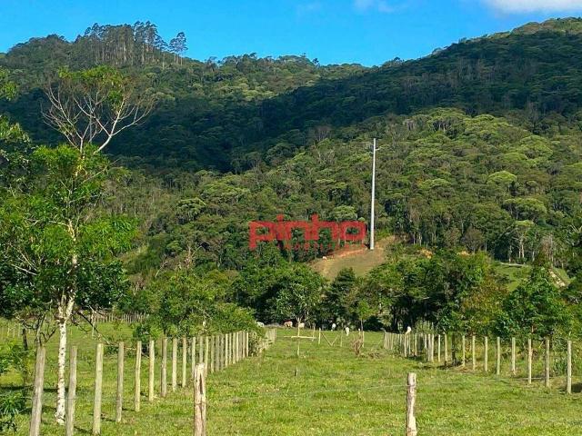 Terreno venda em Vila Becker, Santo Amaro da Imperatriz