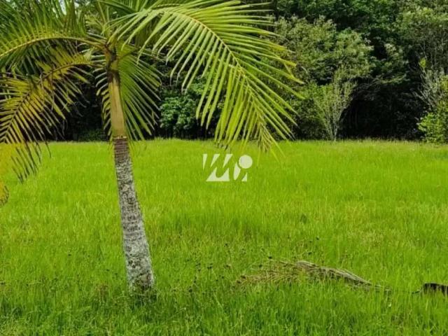 Terreno venda em Região Geográfica Imediata de Florianópolis, Santo Amaro da Imperatriz