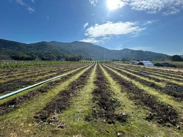 Terreno venda em Região Geográfica Imediata de Florianópolis, Santo Amaro da Imperatriz