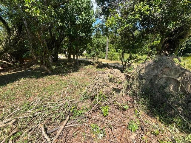 Terreno venda em Santo Amaro da Imperatriz, Região Geográfica Intermediária de Florianópolis