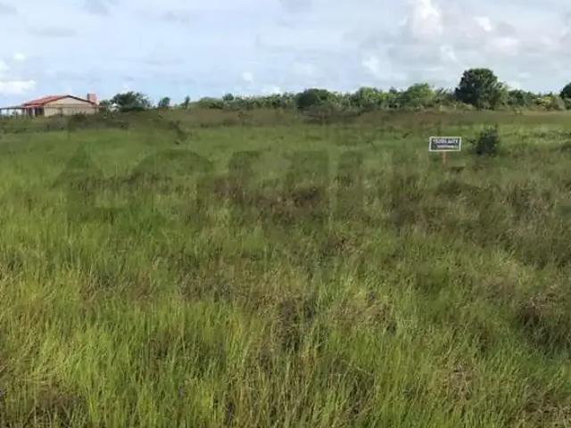 Terreno venda em Santo Amaro das Brotas