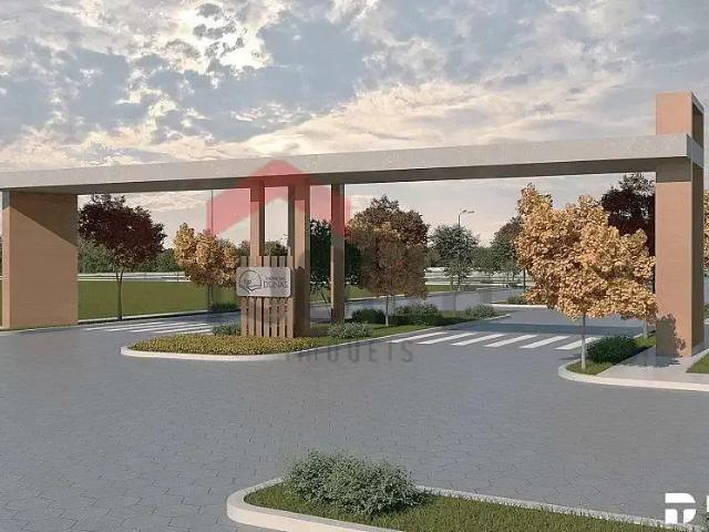 Terreno venda em Alto Formoso, Santo Amaro do Maranhão