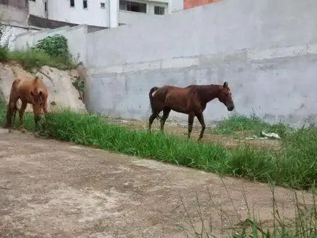 Terreno venda em Região Imediata de São Paulo, Região Metropolitana de São Paulo