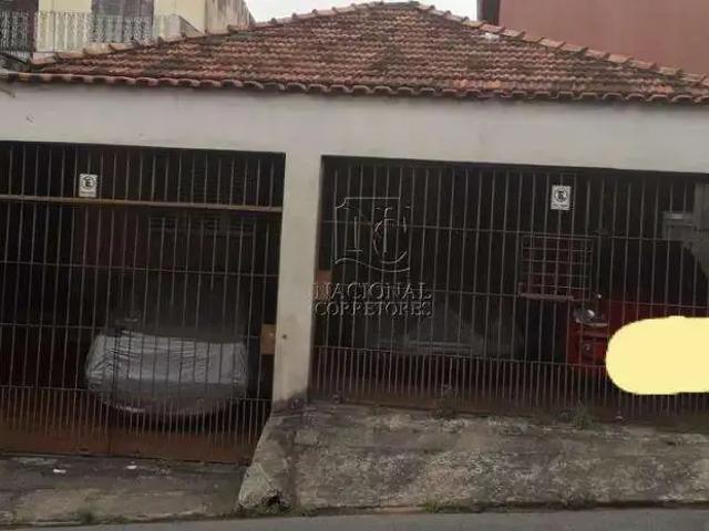 Terreno venda em Vila Alberto, Santo André
