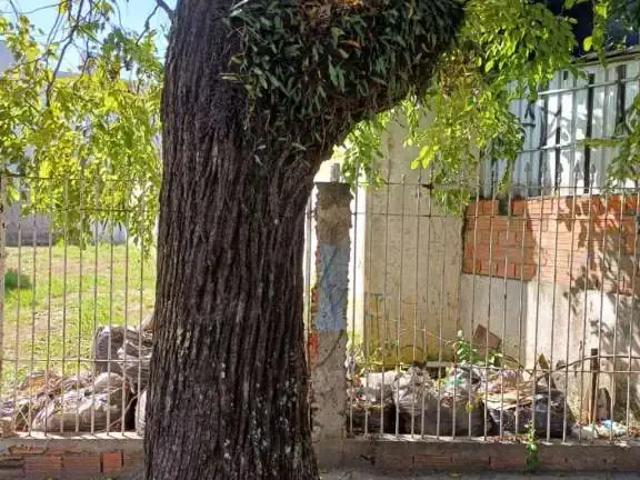 Terreno venda em Vila Tijuco Preto, Santo André