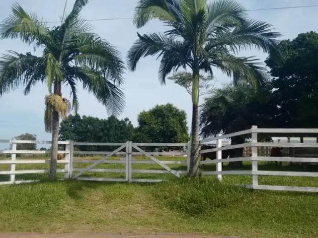Terreno venda em Região Geográfica Imediata de Porto Alegre, Região Metropolitana de Porto Alegre