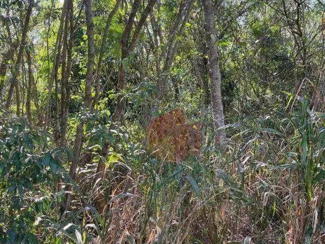 Terreno venda em Região Geográfica Imediata de Santo Antônio da Platina, Santo Antônio da Platina
