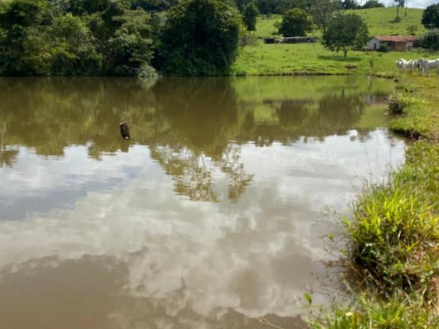 Terreno venda em Centro, Santo Antônio de Goiás