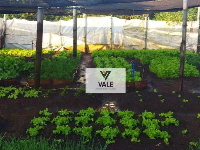 Terreno venda em Região Imediata de Araçatuba, Santo Antônio do Aracanguá