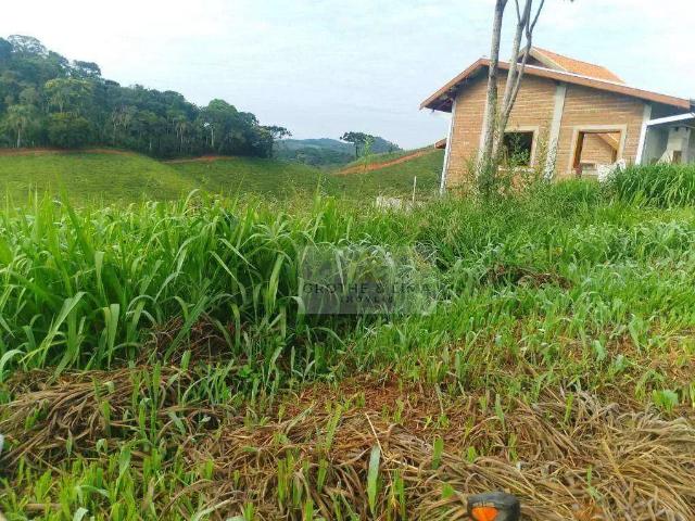 Terreno venda em Região Imediata de Taubaté-Pindamonhangaba, Região Metropolitana do Vale do Paraíba e Litoral Norte