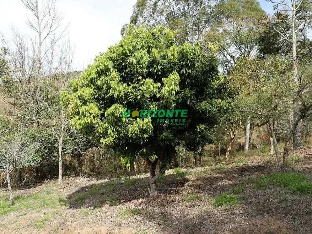 Terreno venda em Região Imediata de Taubaté-Pindamonhangaba, Região Metropolitana do Vale do Paraíba e Litoral Norte