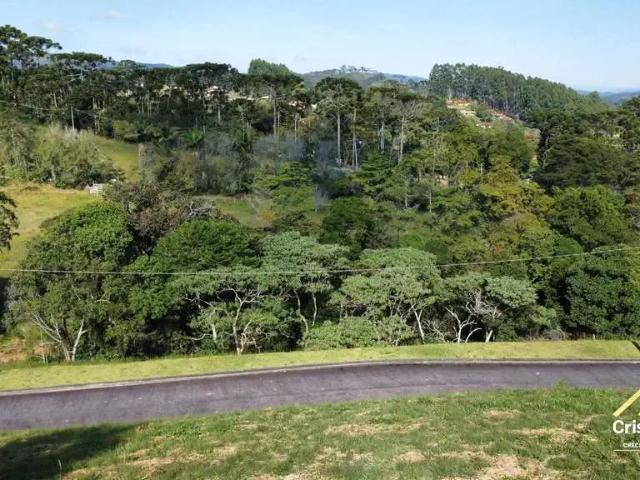 Terreno venda em Região Imediata de Taubaté-Pindamonhangaba, Região Metropolitana do Vale do Paraíba e Litoral Norte