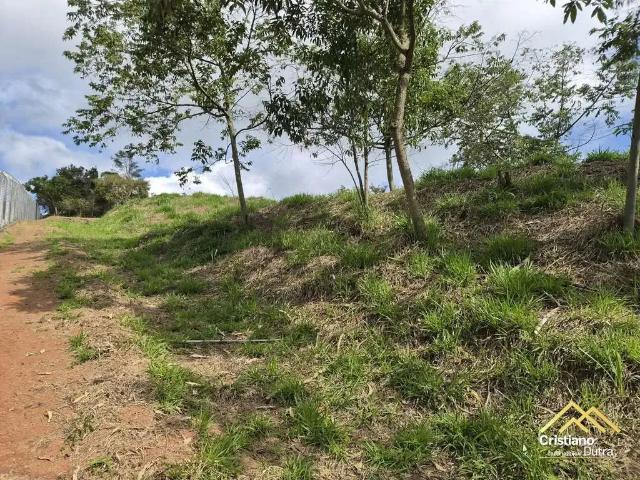 Terreno venda em Região Imediata de Taubaté-Pindamonhangaba, Região Metropolitana do Vale do Paraíba e Litoral Norte