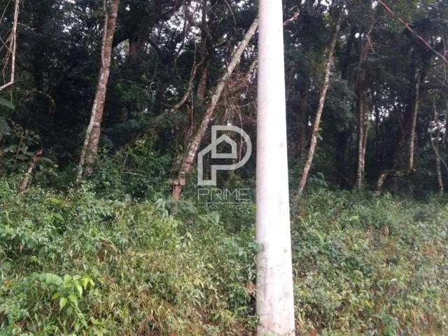 Terreno venda em Região Imediata de Taubaté-Pindamonhangaba, Região Metropolitana do Vale do Paraíba e Litoral Norte