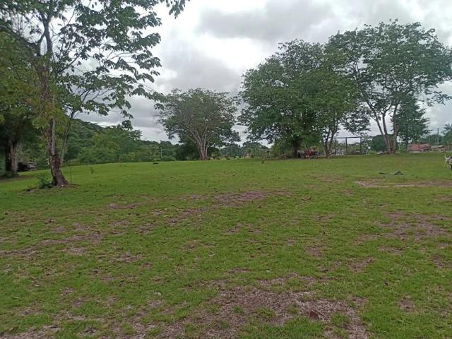 Terreno venda em Região Geográfica Imediata de Belém, Região Norte