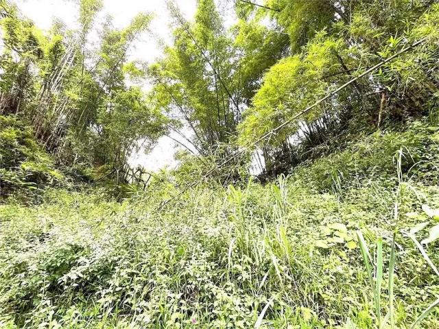 Terreno venda em Região Imediata de Santos, Região Metropolitana da Baixada Santista