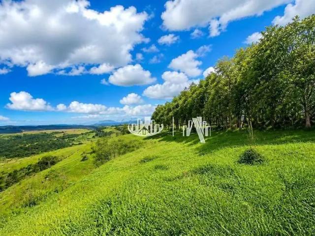 Terreno venda em Região Geográfica Imediata de Cornélio Procópio-Bandeirantes, São Jerônimo da Serra