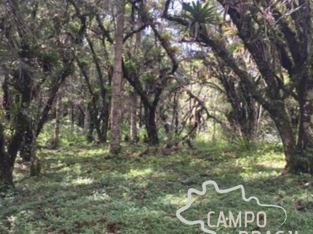 Terreno venda em Sapucaí-Mirim