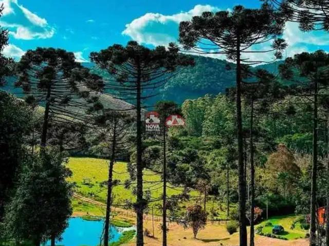 Terreno venda em Região Geográfica Imediata de Itajubá, Sapucaí-Mirim