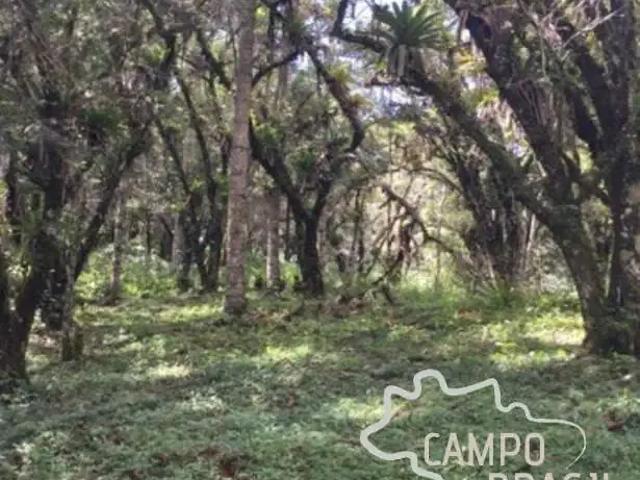 Terreno venda em Região Geográfica Imediata de Itajubá, Sapucaí-Mirim