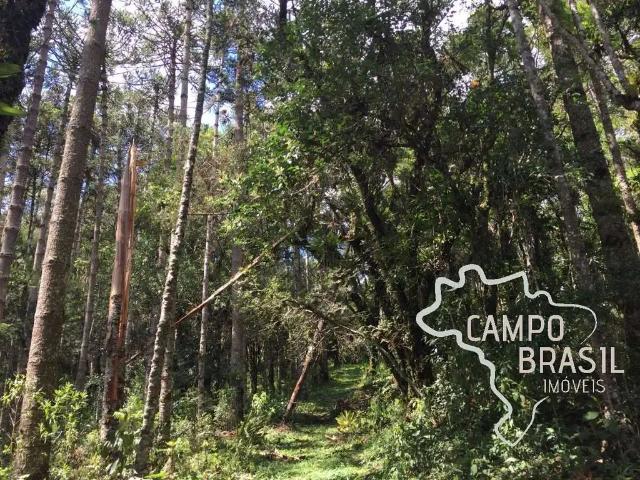 Terreno venda em Região Geográfica Imediata de Itajubá, Sapucaí-Mirim