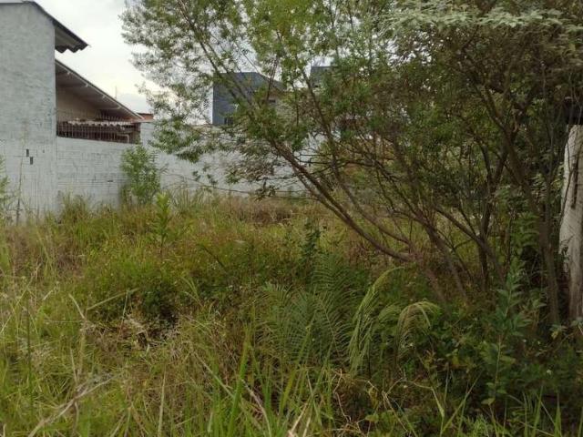 Terreno venda em Região Geográfica Imediata de Porto Alegre, Região Metropolitana de Porto Alegre