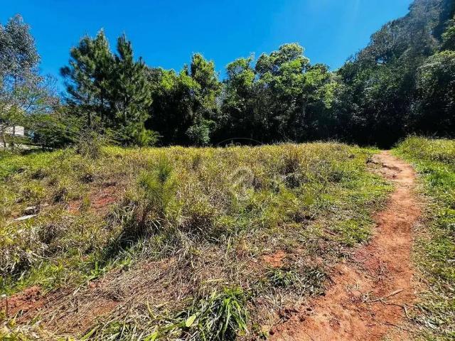 Terreno venda em Região Geográfica Imediata de Porto Alegre, Região Metropolitana de Porto Alegre