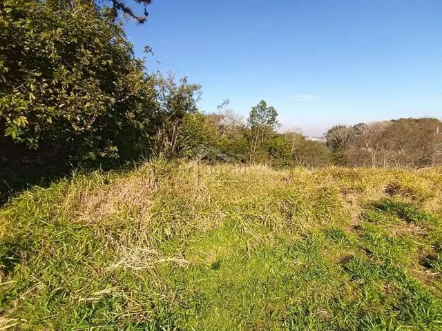 Terreno venda em Região Geográfica Imediata de Porto Alegre, Região Metropolitana de Porto Alegre