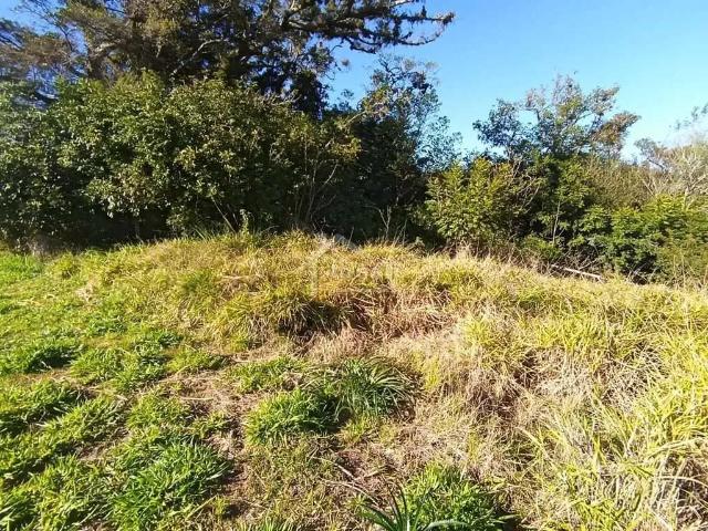 Terreno venda em Região Geográfica Imediata de Porto Alegre, Região Metropolitana de Porto Alegre