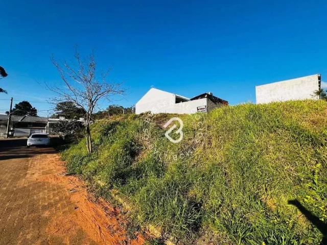 Terreno venda em Região Geográfica Imediata de Porto Alegre, Região Metropolitana de Porto Alegre