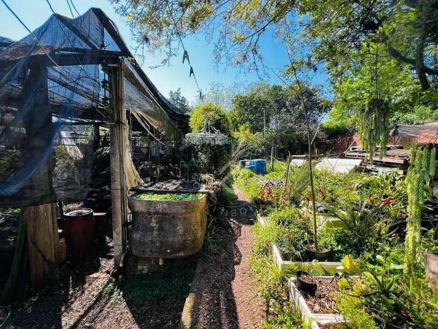 Terreno venda em Região Geográfica Imediata de Porto Alegre, Região Metropolitana de Porto Alegre