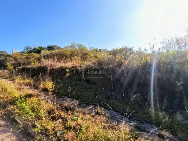 Terreno venda em Região Geográfica Imediata de Porto Alegre, Região Metropolitana de Porto Alegre