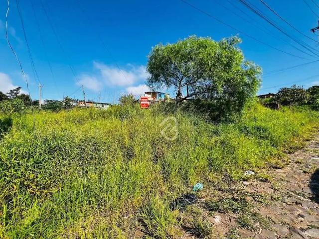 Terreno venda em Região Geográfica Imediata de Porto Alegre, Região Metropolitana de Porto Alegre