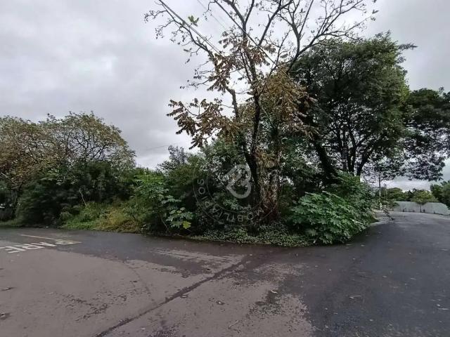 Terreno venda em Região Geográfica Imediata de Porto Alegre, Região Metropolitana de Porto Alegre