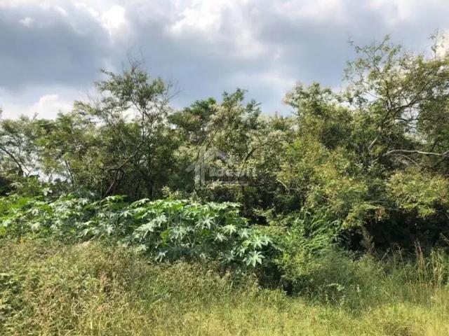 Terreno venda em Região Geográfica Imediata de Porto Alegre, Região Metropolitana de Porto Alegre
