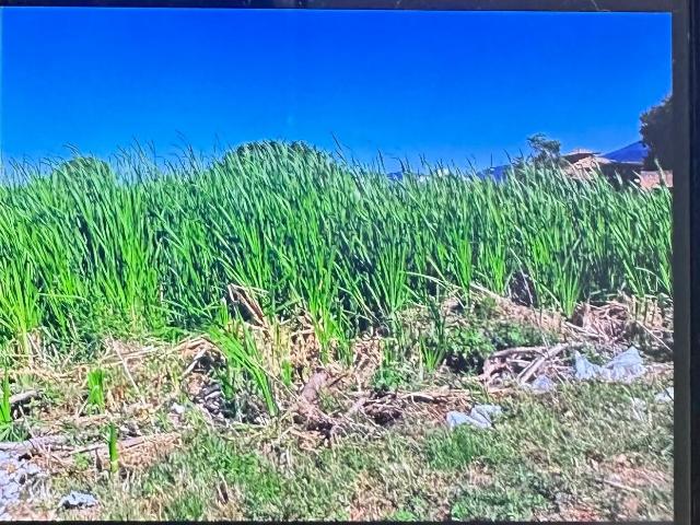 Terreno venda em Saquarema, Região Geográfica Intermediária do Rio de Janeiro