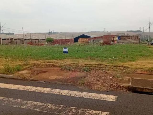 Terreno venda em Região Geográfica Imediata de Maringá, Sarandi