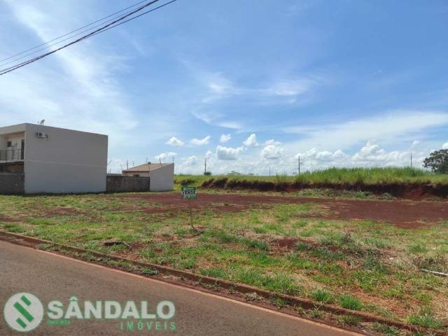 Terreno venda em Região Geográfica Imediata de Maringá, Sarandi