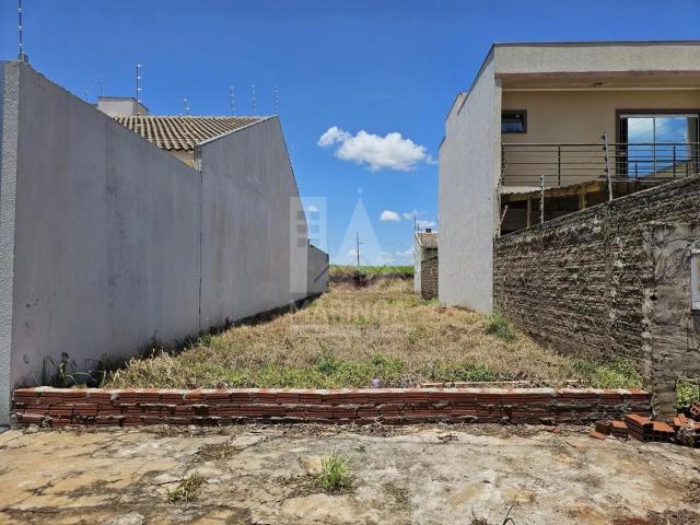 Terreno venda em Ecovalley, Sarandi