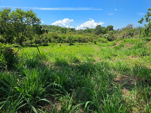 Terreno venda em Sarzedo, Região Geográfica Intermediária de Belo Horizonte